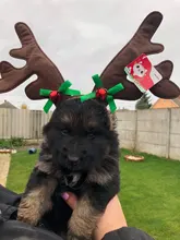 Hat Puppy-Festival-Accessories Party-Product Pet-Headband Hair-Hoop Dog Cat Cosplay Christmas