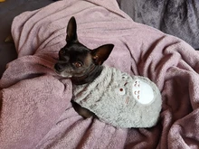 Jacket Outfits Dog Coat Pug-Costume Small Dogs Soft Chihuahua Cartoon Fleece Winter Warm