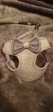 Breakaway Cat Collar Cute Bow Vests Cat Harness and Leash Cat Product Cat Accessories