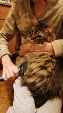 Pelo de mascota cortador de nudos perro cepillado y caída de pelo herramientas Gato del pelo del cepillo del peine de doble cara productos para mascotas