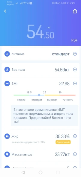 весы gason s4