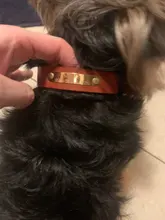 Pet-Bowl Pet-Autommatic Cats Water-Feeder/feeder-Device Small Lovefat for Fmedium