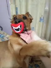 Squeaky Toy Ball Dog Fetching Play Puppy-Cat Chew-Sound Funny Quack 10PCS for Small Pet-Dog