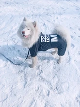 Jacket Rain-Coat Labrador Alaska Puppy-Doberman Waterproof Dogs Large Medium Husky TLC02