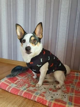 Pet Dog Winter Coat Small Dog Clothes Warm Dog Jacket Puppy Outfit Dog Coat Chihuahua