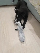Peluche suave de cebra con sonido de tigre para mascotas, juguete para mascotas