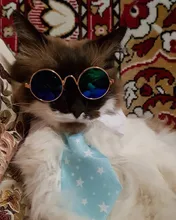 Pajarita a rayas para perro y gato, Collar ajustable para mascotas, corbata blanca para perro, y boda para fiesta, 2020