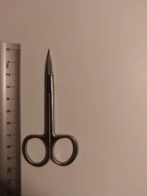 Farming-Tools Scissors Veterinary Medical Animal Straight 10cm 14cm 16cm Curved-Tip Stainless-Steel
