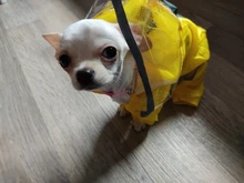Raincoat Chihuahua Waterproof Summer Puppy Dogs Reflective for Small Nylon Ropa Perro