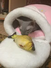 Cama de Gato cálida de felpa para invierno, suave, portátil, plegable, linda casa para gatos, saco de dormir, cojín grueso para cama de Mascota, productos para gatitos