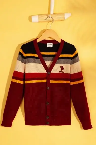 U.S. POLO ASSN. Свитер для мальчиков, Hirka