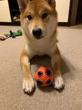 Toys Pets-Supplies Dog-Ball Dog-Chew-Toy Interactive-Ball HOOPET Food-Rubber-Balls Funny