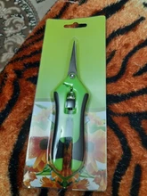 Tijeras de podar de Metal para jardín, Cortador manual de uvas, fruta, recolección de marihuana, en maceta para el hogar