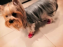 4 unids/set zapatos para perros de invierno de perro caliente botas de nieve zapatos de cuero de la PU para perros pequeños perros Chihuahua impermeable antideslizante cachorro para mascotas zapatos