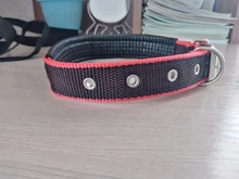 Leash Rope Pet-Collar Wholesale Lined Pet-Supplies Colorful New TECHOME Polypropylene