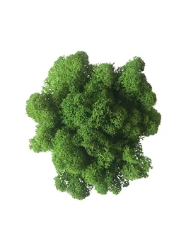 

Стабилизированный мох/Yagel/зеленый 500гр