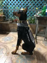 Pet-Dog-Clothes Clothing Walking-Harness Dogs Outdoor Waterproof Large Winter Medium