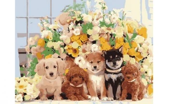 

Painting by numbers on canvas 40x50 cm "puppies and flowers" Red Cat