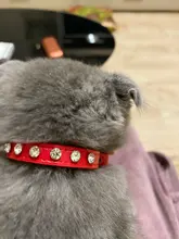 Puppy-Neck-Strap Cat-Collar Kitten-Accessories Rhinestone Luxury Small Rivet 