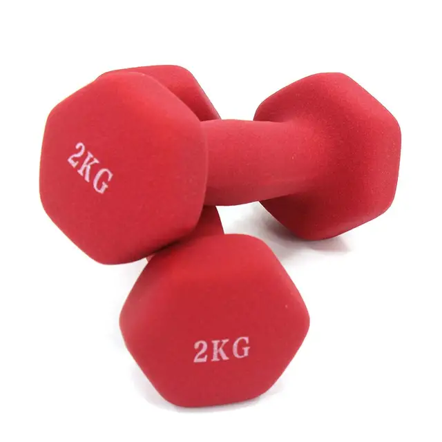Dumbbells plastic for women, dumbbell Fitness lasting, with style, smooth surface, from 3 kilos, portable optional, 2 pieces 2.0KG