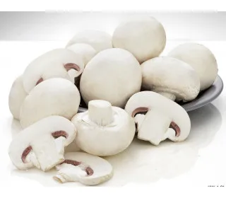 

Mushrooms champignons tray, 500g