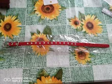 Necklaces-Accessories Collar Puppy-Products Chat Kitten Kota Small Traumdeutung for Pet-Dog