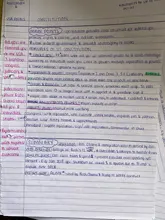 Coxeer-collar de estilo bohemio con cuentas, gargantilla hecha a mano con cuentas, accesorios de joyería para la playa, 1 unidad