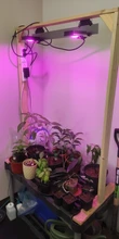 Led-Cob-Chip Flower-Growth-Lighting Indoor-Plant Full-Spectrum 220V Seedling 110V 