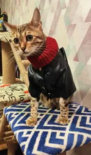Pet Clothing Costumes Coat Kitten-Outfits Yorkshire Puppy Winter Warm Autumn for Chihuahua