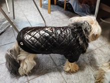 New Arrival Noble Pet Dogs Winter Vest Coat Fur Collar Russia Classic Dogs Clothing Soft