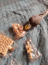 Bird-Toys Accessories Perch-Stand Cockatiel Budgie Parkiet Vogelspeelgoed 7pcs Jouet