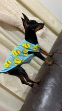 Ropa con estampado de patos para perros pequeños, Camiseta de algodón para cachorros y gatos, chaleco, camisas con perro Chihuahua