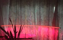 Phyto-Tape Flowers Seed-Plants Grow-Light Greenhouses Strip-0.5m USB Full-Spectrum 2835