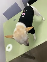 Sweater Dog-Jacket Dog Hoodie French Bulldog Winter Pet-Dog for Flamingo-Design Cats