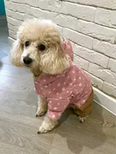 Overalls Fleece Dogs Winter for Star Corduroy Teddy XS M XL