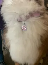 Etiqueta de identificación del perro de mascota grabado gratis, etiqueta personalizada para gato, cachorro, Collar para mascota, accesorios para perros, colgante de etiquetas de nombres antipérdida