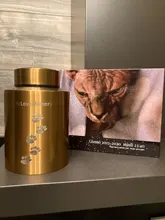 Mascotas perro gato pájaros ratón cremación cenizas urna urnas de acero inoxidable recuerdo ataúd columbario Mini tanque de almacenamiento mascotas memorals