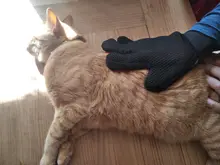 HOOPET Gato Guantes de Masaje Peine Del Pelo Del Cepillo de Baño Para Mascotas Perro Mascota de Aseo productos de Limpieza