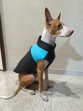 Chaleco impermeable para perros grandes y pequeños, abrigo cálido de invierno para cachorros, ropa para mascotas, 4XL, 5XL, nuevo