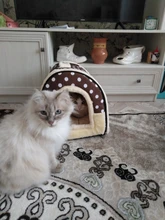 CAWAYI KENNEL Dog Pet House Products Dog Bed For Dogs Cats Small Animals cama perro hondenmand