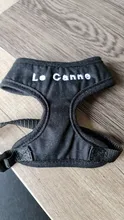 Vest Harnesses Puppy-Kitten Dogs Adjustable Personalized Chihuahua Soft Nylon for Small