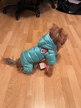 Ropa de invierno para perros pequeños, abrigo cálido para cachorros, chaqueta impermeable con capucha, monos para Chihuahua y Yorkie