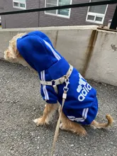 Sweater Puppy Adidog Small Four-Legged Chihuahua Luxury Dog Winter New Autumn And Pet-Warm