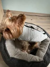 Jacket Vest Puppy-Clothing Pug-Coat Small Dogs Chihuahua Waterproof Winter Teddy Pet-Dog