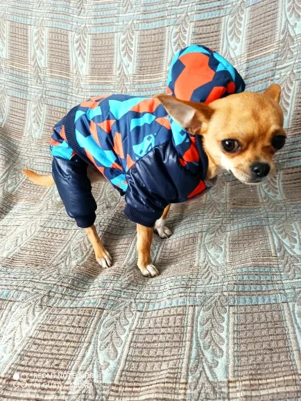 Hooded Coveralls Coats for Dog | Warm Clothes for Dog | Winter Coats for Dog photo review