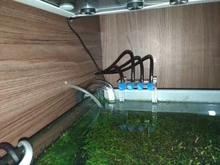 Doser Jebao Jecod DP-4 Dosing Reef Marine DP3S DP4S DP-3 Pump-Automatic DP2 