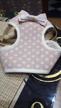 Perro pequeño conjunto de arnés y correa chaleco para gatos mascota Arnés con Bowknot acolchado de malla Pet pistas para pequeño cachorro perros Chihuahua Yorkie