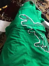 Camisetas para niños, camiseta para niños, niñas, niños, camisa para niño, dinosaurio para niño, camisetas de algodón con dibujos animados, ropa camisetas camiseta poleras polera