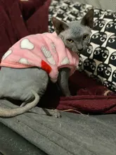 Cat Coats Jacket Dog-Costumes-Clothes Pet-Supplies Small Dogs Fleece Cartoon Autumn/winter