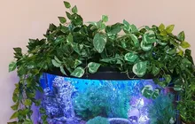 Vine Garland-Plants Fake Foliage Ivy-Leaf Wedding-Party-Decoration Artificial Green 1pcs